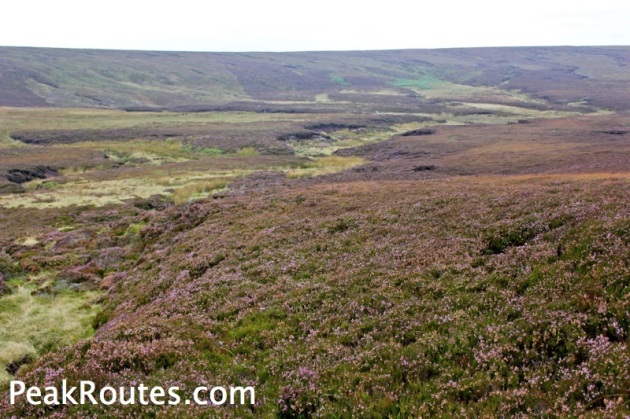 Swaines Greave Heather