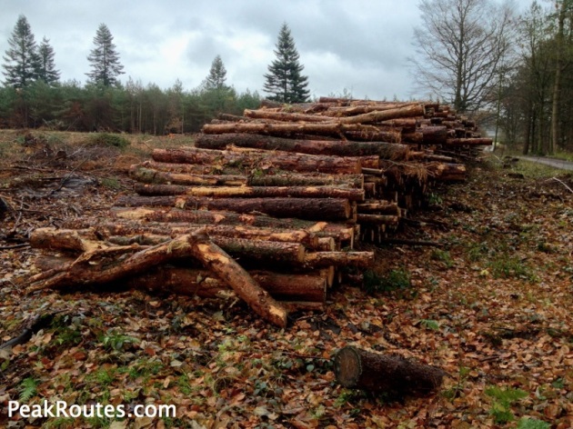 Logging at Chatsworth