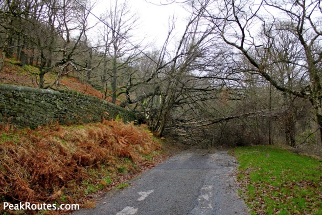 Fallen Tree across the path to Kinder Reservoir